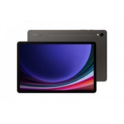 Samsung Galaxy Tab S9 SM-X716B 5G 256 GB 27.9 cm (11") Qualcomm Snapdragon 12 GB Wi-Fi 6 (802.11ax) Android 13 Graphite