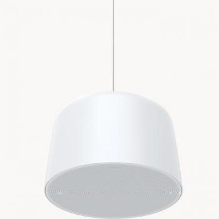 Axis 02389-001 Haut-parleur du système de sonorisation 1-voie