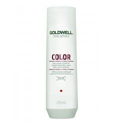 Goldwell Dualsenses Color 250 ml 2-in-1 Shampoo & Conditioner Unisex
