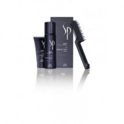 Wella Men Gradual Tone
