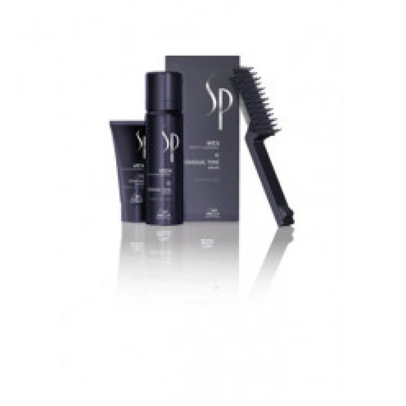 Wella Men Gradual Tone