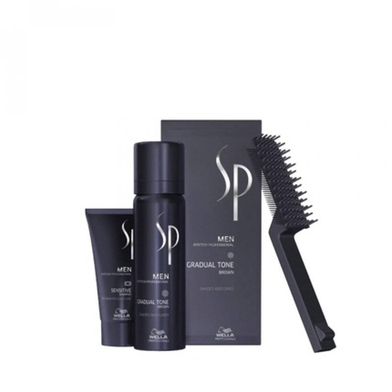 Wella Men Gradual Tone