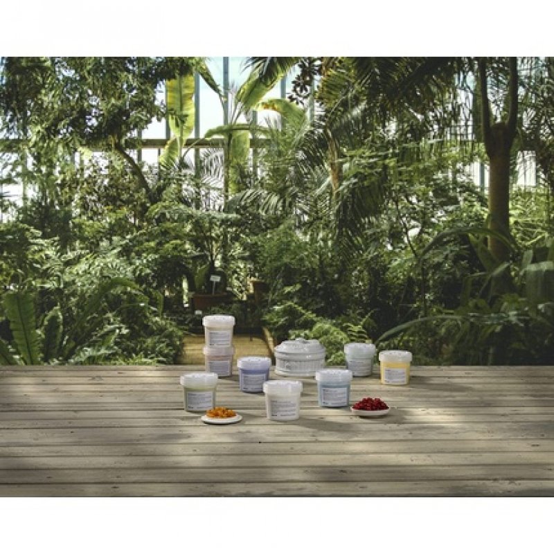 LOVE CURL CONDITIONES 250ML