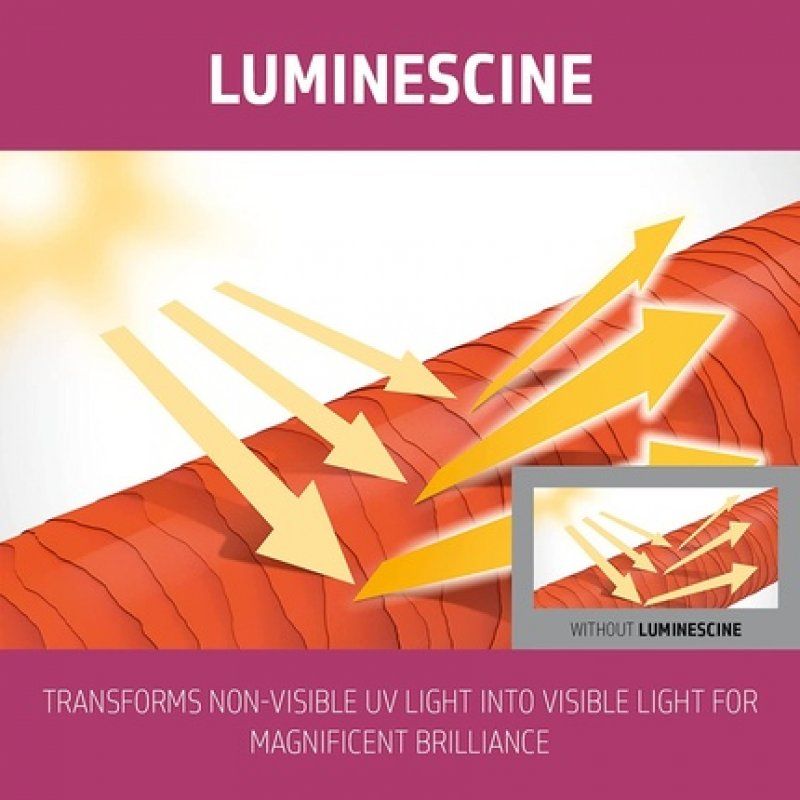 Brilliance Conditioner 1000ml - Color Extra Rich