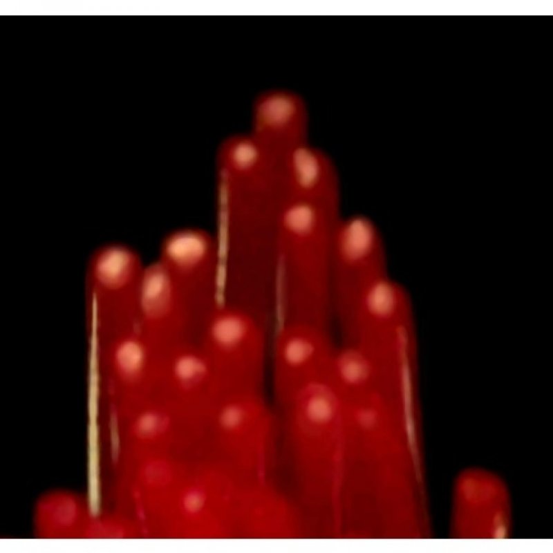 Colours Classic Blue/Blue toothbrush