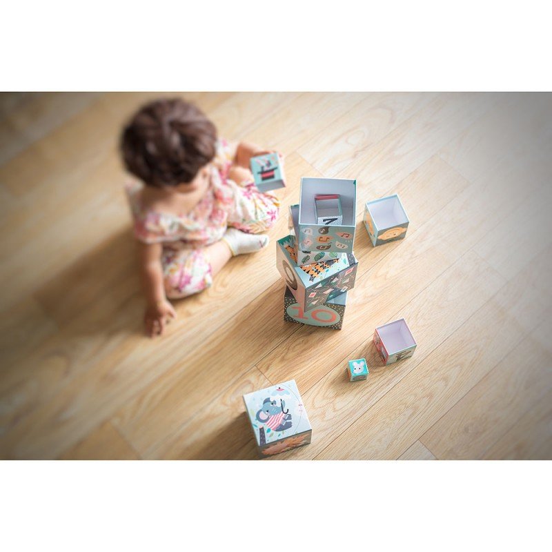 CUBES GIGOGNES CARLSLUND [SPE]