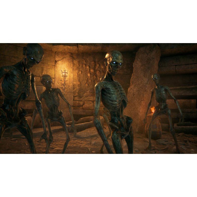 Warner Bros. Games Hogwarts Legacy Standard PlayStation 4