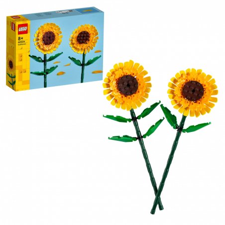 40524 Iconic Sonnenblumen