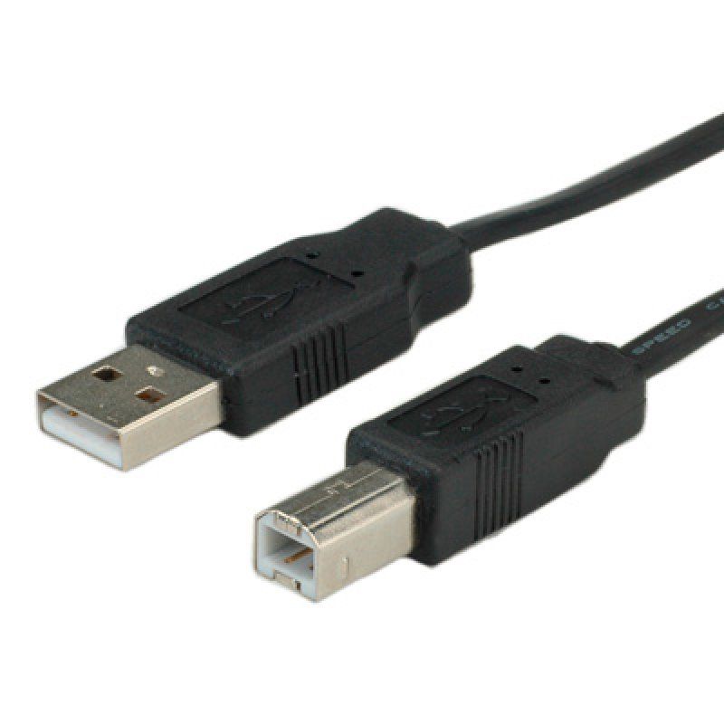 ROLINE Câble USB 2.0 plat pour Notebook 0,8m