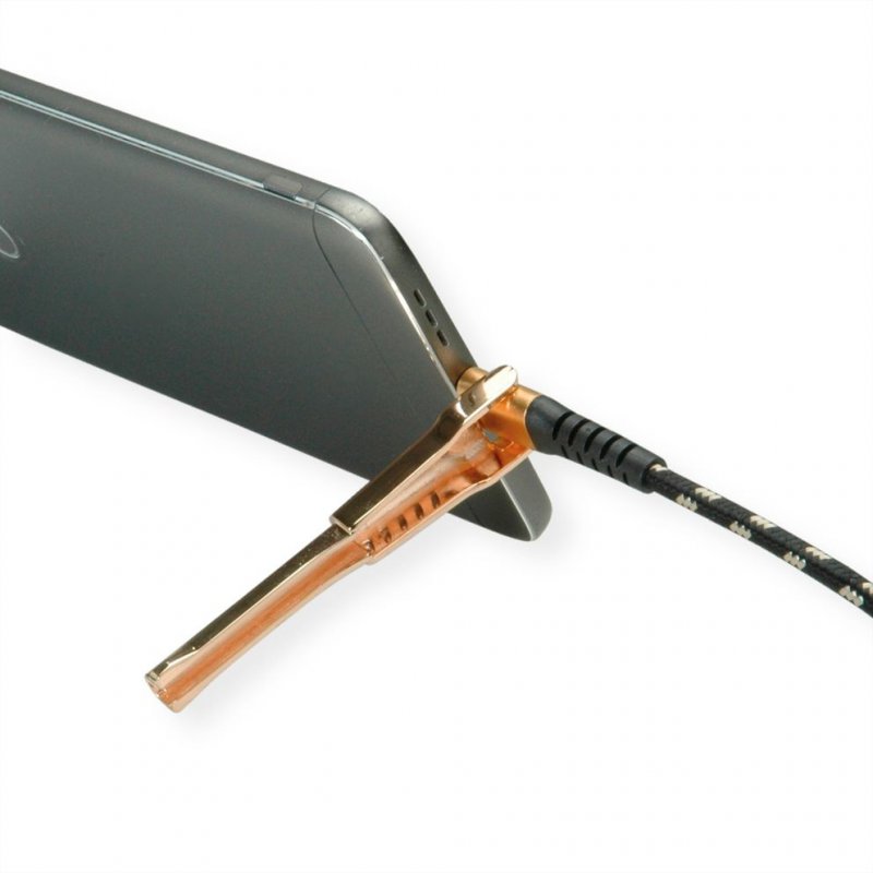 ROLINE GOLD Câble USB2.0 A-C, patte, 1m