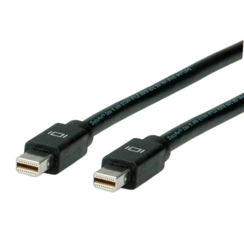 Secomp Câble DisplayPort Mini DP M - Mini DP M 2,0m