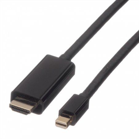 ROLINE 11.04.5796 câble vidéo et adaptateur 2 m Mini DisplayPort Noir