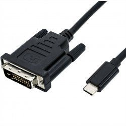 ROLINE 11045831 2 m DVI-D USB Type-C Noir