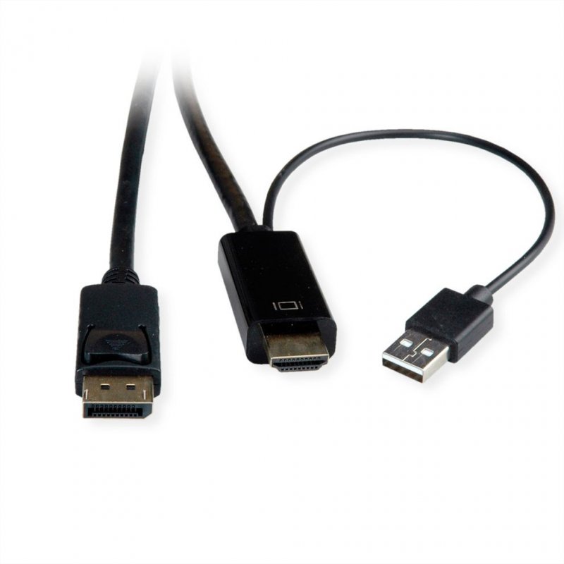 ROLINE Câble UltraHD HDMI à DP, HDMI - DP v1.2, M/M, 1m