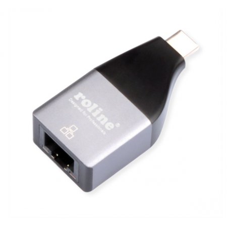 ROLINE 12.02.1110 cable gender changer USB Type C RJ-45 Silver