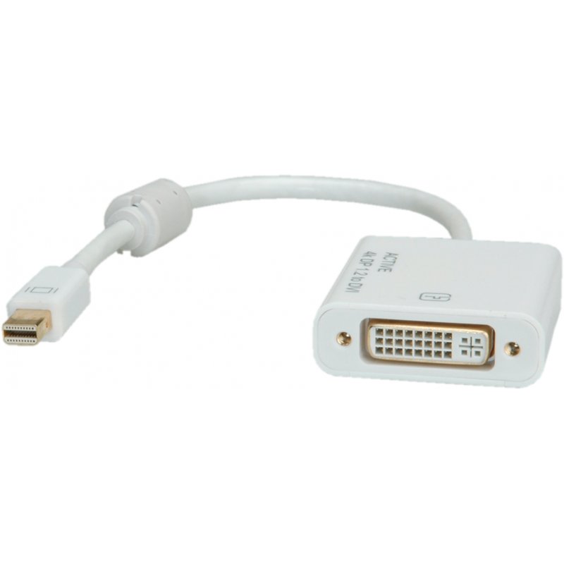 ROLINE 12.03.3137 câble vidéo et adaptateur 0,1 m Mini DisplayPort DVI-D Blanc