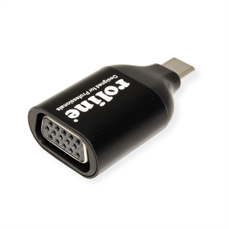 ROLINE 12.03.3228 USB graphics adapter 1920 x 1080 pixels Black