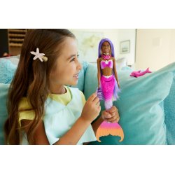 Barbie A Touch of Magic Doll and Accessories