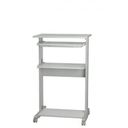 ROLINE PC Standing Workstation