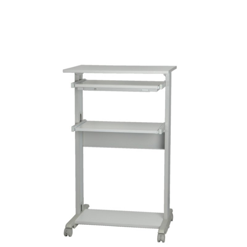 ROLINE PC Standing Workstation