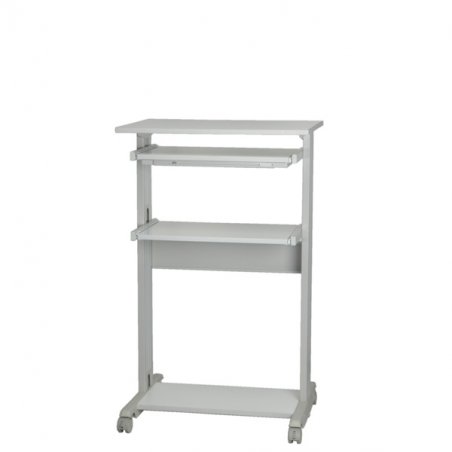 ROLINE PC Standing Workstation