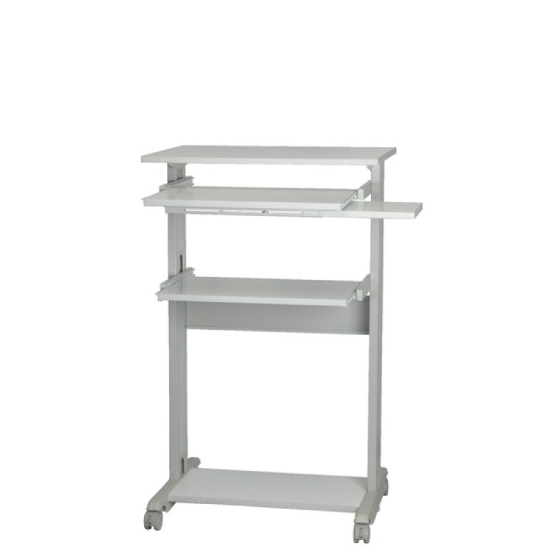 ROLINE PC Standing Workstation