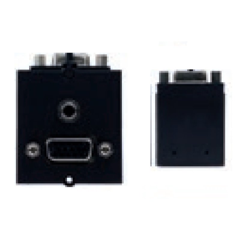 Bachmann 917.058 câble vidéo et adaptateur 0,2 m VGA (D-Sub) 3,5 mm