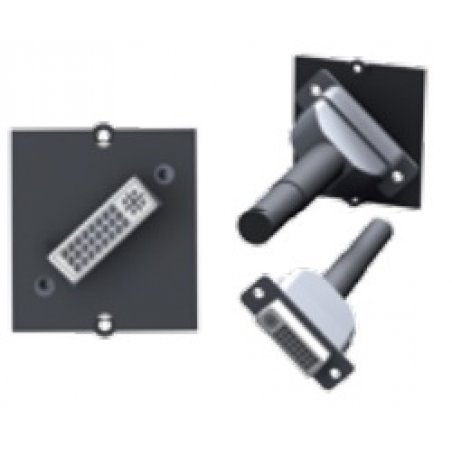 Bachmann DVI-I F/F Black