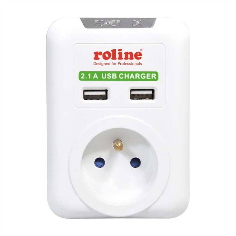 ROLINE Prise murale UTE, 2x USB, blanche