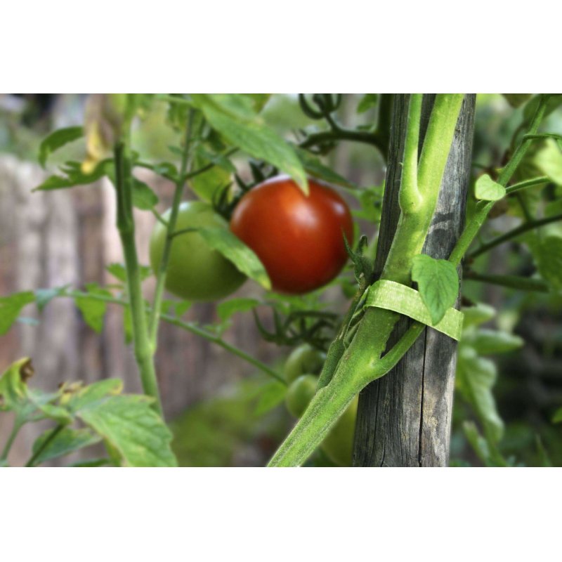 VELCRO ONE-WRAP Bande jardin 12x380mmx6 Bande réutilisable verte