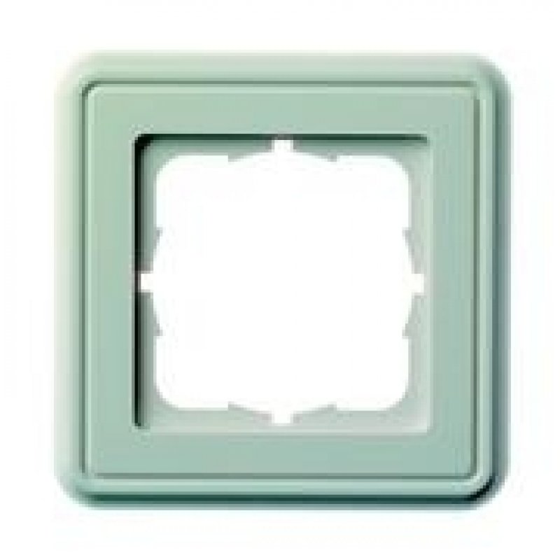 Telegärtner Cover frame