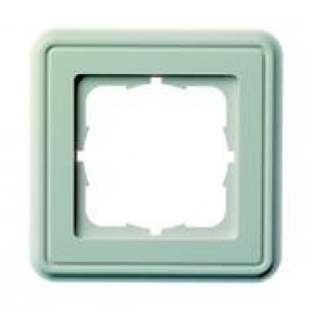 Telegärtner Cover frame