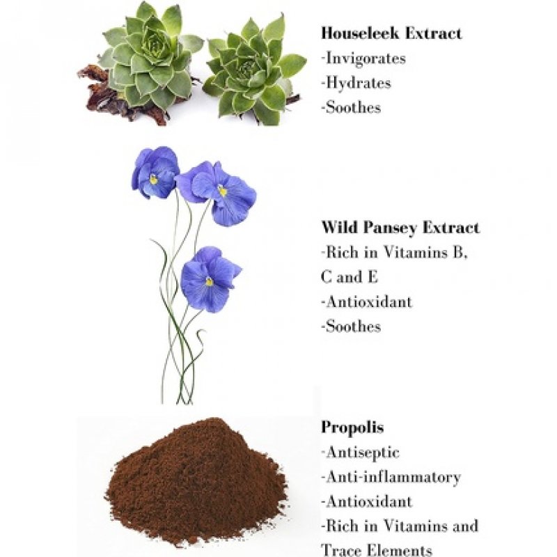 Bain Traitant À La Propolis 200ml