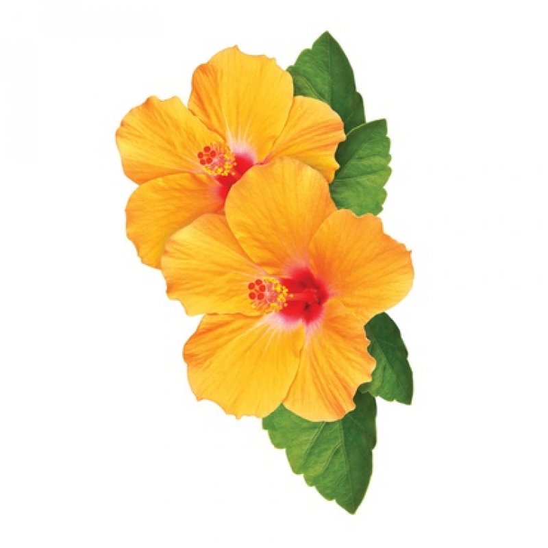 Chi curlycare - curl conditioner 739ml