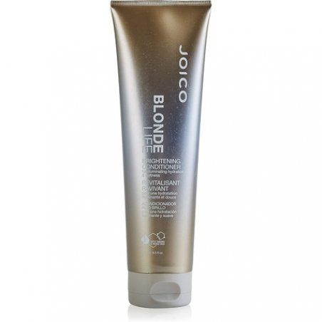 Blonde Life Brightening Conditioner 250ml
