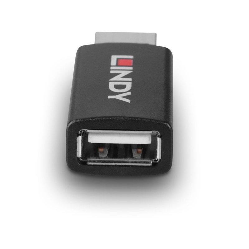 Bloqueur de données USB 2.0 Lindy (Noir)