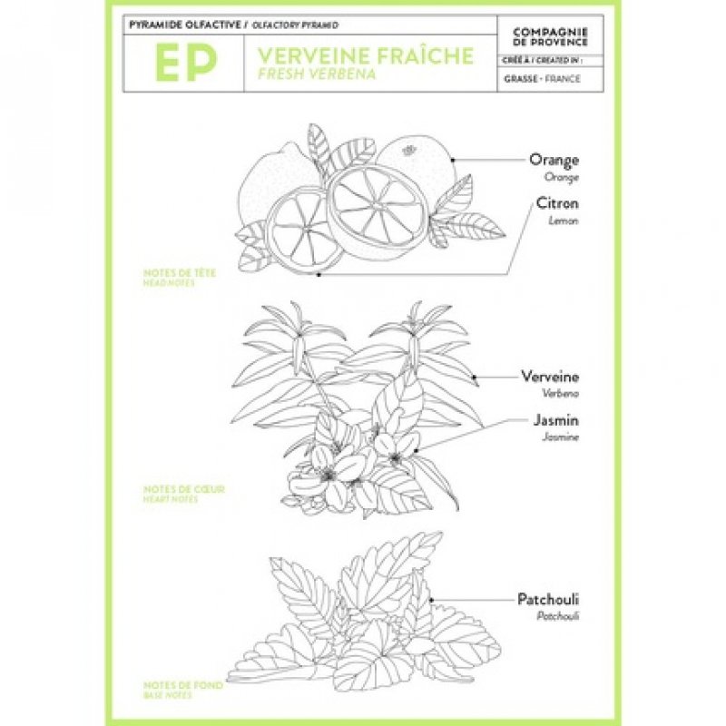 Compagnie de Provence Savon de Marseille Extra Pure Liquid Soap Fresh Verbena 16.7 Fl Oz