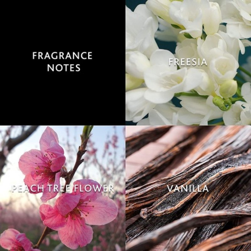 Christina Aguilera BY NIGHT Fine Fragrance Mist 236ml