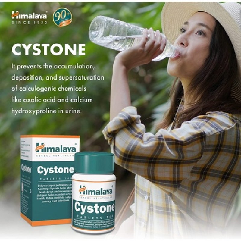 Himalaya Herbals Cystone Natural Kidney Support Urinary Tract Infection Treatment Gluten-Free Tablets 100 Pieces