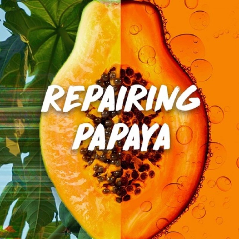 Garnier Ultimate Blends Hair Food Papaya 3-in-1 Damaged Hair Mask Treatment 400ml