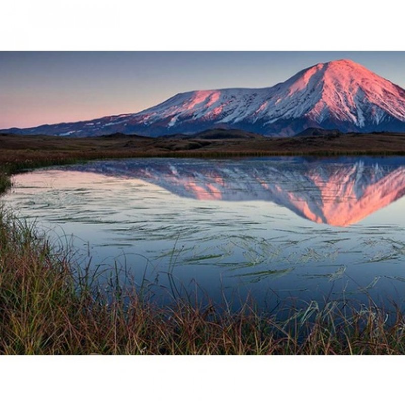 ETJA Carrot Root Macerate 50ml