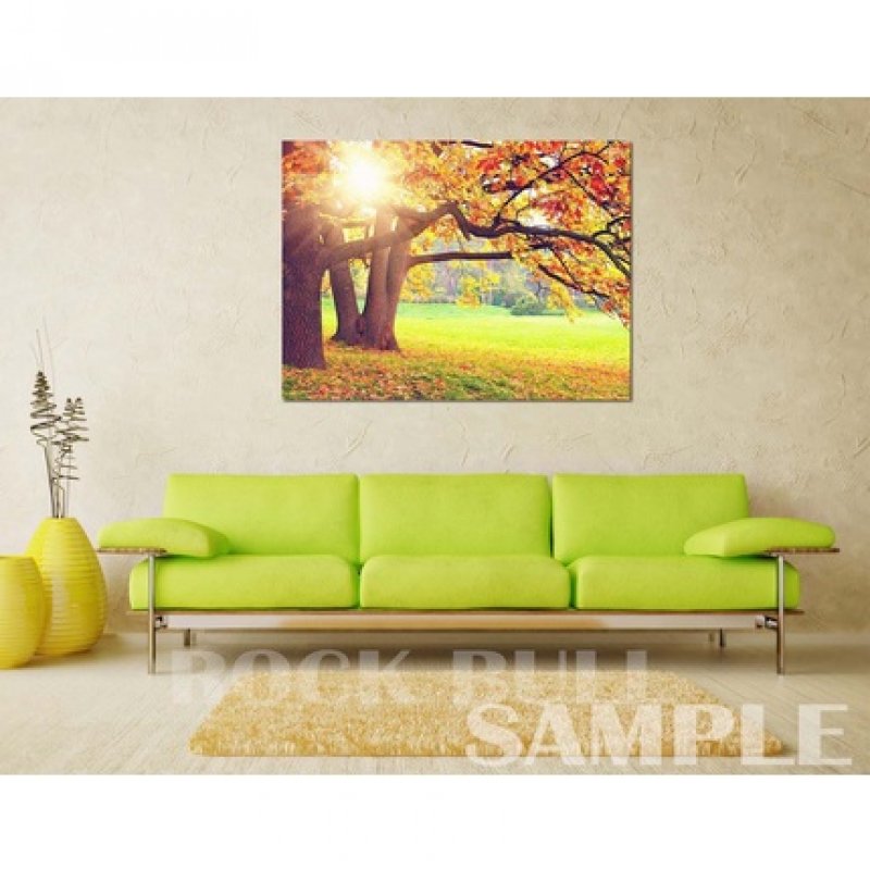 ETJA Carrot Root Macerate 50ml