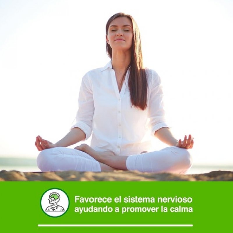 Soria Natural Dandelion Glycerine Fluid Extract 50ml