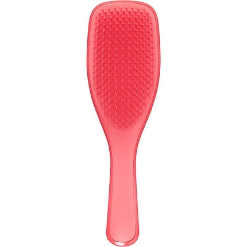 Tangle Teezer The Wet Detangler Hairbrush for Wet and Dry Hair - Pink Punch