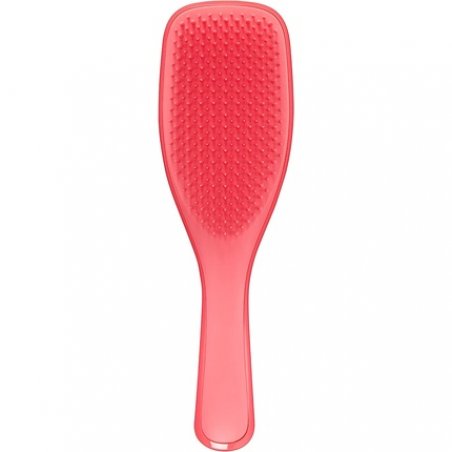 Tangle Teezer The Wet Detangler Hairbrush for Wet and Dry Hair - Pink Punch