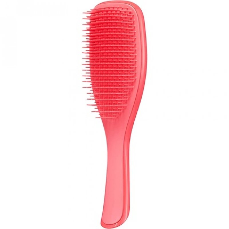 Tangle Teezer The Wet Detangler Hairbrush for Wet and Dry Hair - Pink Punch