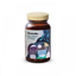 Health Labs ShroomMe Lion's Mane