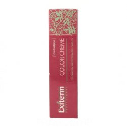 Exitenn Color Creme Permanent Hair Dye Nº 12/0.22 60ml