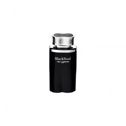 Black Soul by Ted Lapidus EDT Spray 3.4 oz for Men