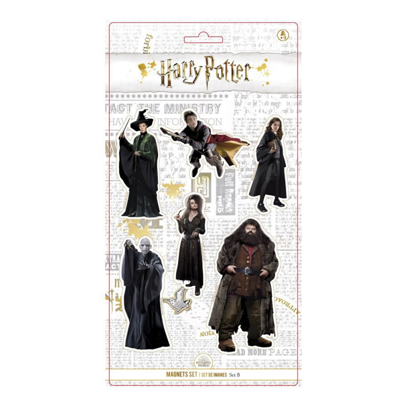 HARRY POTTER - Real Characters - Set B - Set d'Aimants